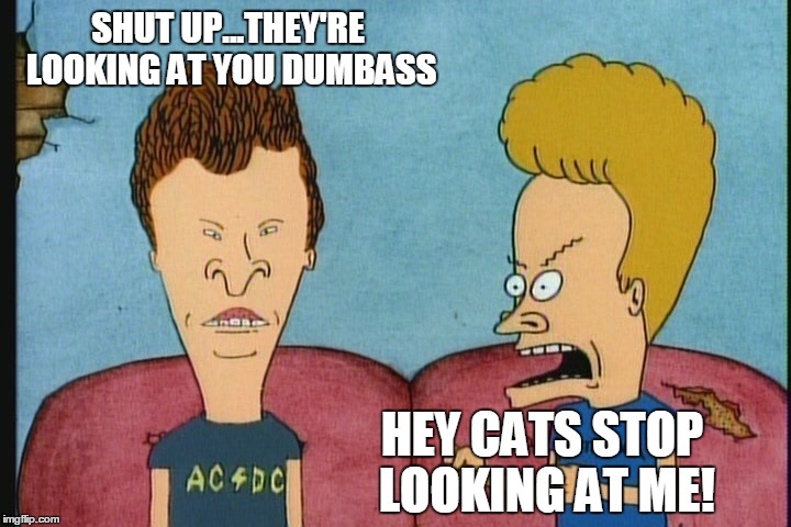 Beavis & Butthead 2 | SHUT UP...THEY'RE LOOKING AT YOU DUMBASS HEY CATS STOP LOOKING AT ME! | image tagged in beavis  butthead 2 | made w/ Imgflip meme maker