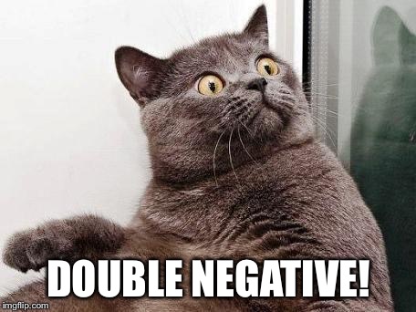 surprised cat | DOUBLE NEGATIVE! | image tagged in surprised cat | made w/ Imgflip meme maker