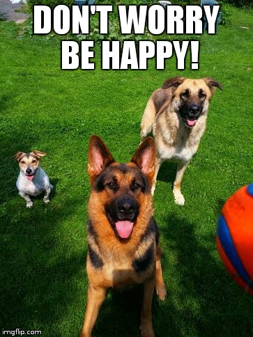 DON'T WORRY BE HAPPY! | image tagged in be happy | made w/ Imgflip meme maker