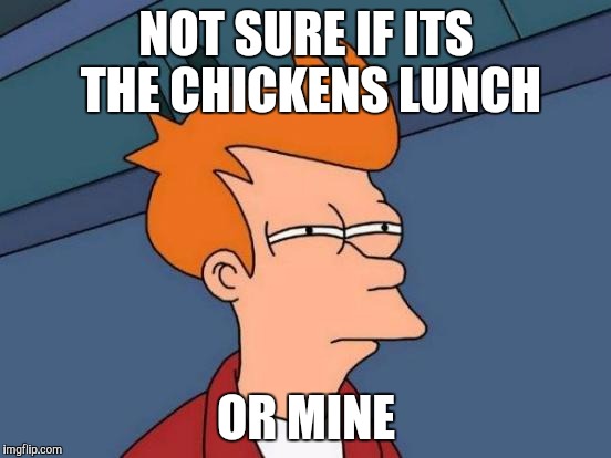 Futurama Fry Meme | NOT SURE IF ITS THE CHICKENS LUNCH OR MINE | image tagged in memes,futurama fry | made w/ Imgflip meme maker