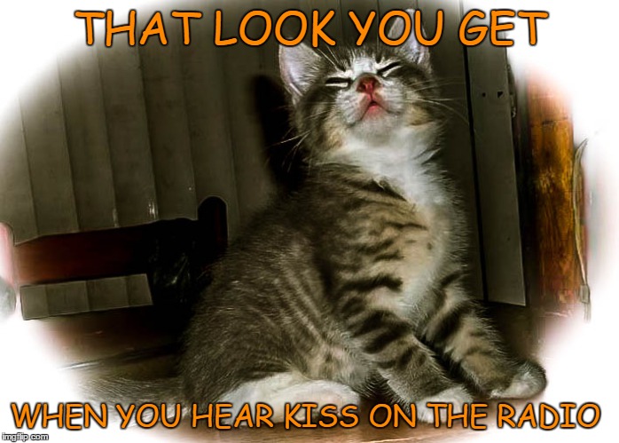 THAT LOOK YOU GET WHEN YOU HEAR KISS ON THE RADIO | image tagged in kiss,kitten | made w/ Imgflip meme maker