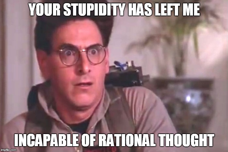 YOUR STUPIDITY HAS LEFT ME INCAPABLE OF RATIONAL THOUGHT | image tagged in egon scared | made w/ Imgflip meme maker