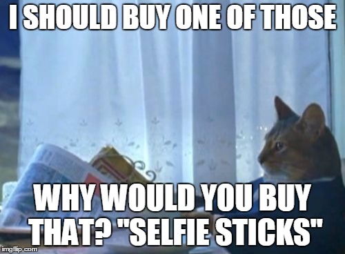 Seriously, why? | I SHOULD BUY ONE OF THOSE WHY WOULD YOU BUY THAT? "SELFIE STICKS" | image tagged in memes,i should buy a boat cat | made w/ Imgflip meme maker