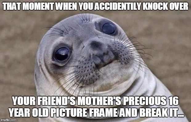 Let's Just Say I "Pegged It" | THAT MOMENT WHEN YOU ACCIDENTILY KNOCK OVER YOUR FRIEND'S MOTHER'S PRECIOUS 16 YEAR OLD PICTURE FRAME AND BREAK IT... | image tagged in memes,awkward moment sealion | made w/ Imgflip meme maker