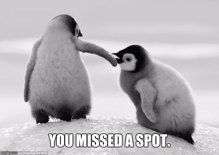 YOU MISSED A SPOT. | image tagged in funny | made w/ Imgflip meme maker