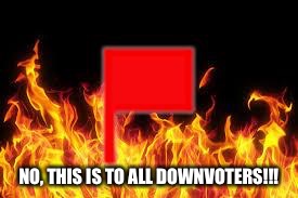 fireflag | NO, THIS IS TO ALL DOWNVOTERS!!! | image tagged in fireflag | made w/ Imgflip meme maker