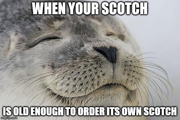 Satisfied Seal | WHEN YOUR SCOTCH IS OLD ENOUGH TO ORDER ITS OWN SCOTCH | image tagged in memes,satisfied seal,AdviceAnimals | made w/ Imgflip meme maker