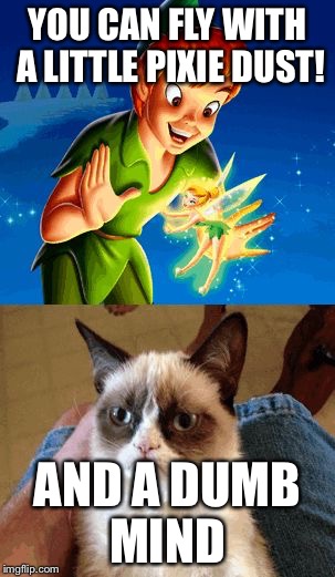Grumpy Cat Does Not Believe | YOU CAN FLY WITH A LITTLE PIXIE DUST! AND A DUMB MIND | image tagged in memes,grumpy cat does not believe | made w/ Imgflip meme maker