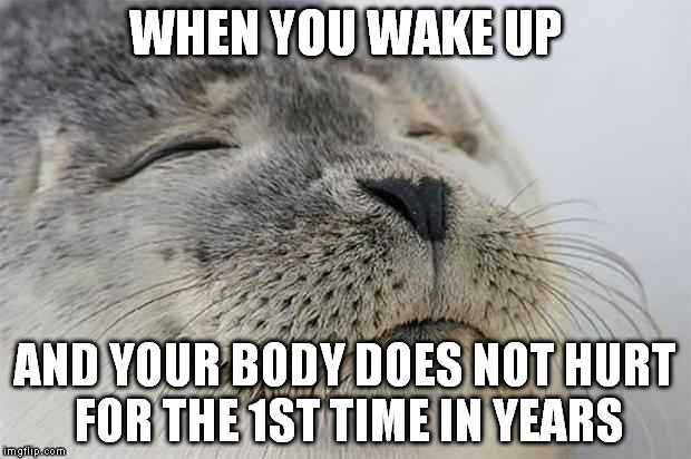 Satisfied Seal Meme | WHEN YOU WAKE UP AND YOUR BODY DOES NOT HURT FOR THE 1ST TIME IN YEARS | image tagged in memes,satisfied seal,AdviceAnimals | made w/ Imgflip meme maker