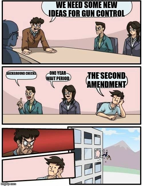 Boardroom Meeting Suggestion | WE NEED SOME NEW IDEAS FOR GUN CONTROL BACKGROUND CHECKS ONE YEAR WAIT PERIOD THE SECOND AMENDMENT | image tagged in memes,boardroom meeting suggestion | made w/ Imgflip meme maker