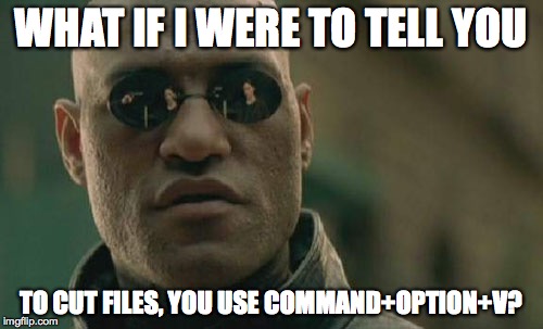 Matrix Morpheus Meme | WHAT IF I WERE TO TELL YOU TO CUT FILES, YOU USE COMMAND+OPTION+V? | image tagged in memes,matrix morpheus | made w/ Imgflip meme maker