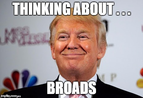 Donald trump approves | THINKING ABOUT . . . BROADS | image tagged in donald trump approves | made w/ Imgflip meme maker