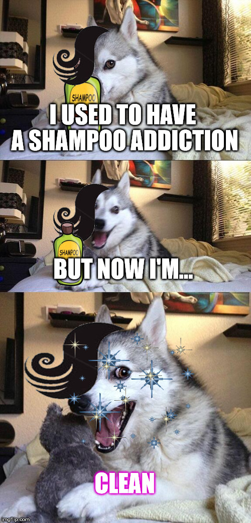 Bad Pun Dog Meme | I USED TO HAVE A SHAMPOO ADDICTION BUT NOW I'M... CLEAN | image tagged in memes,bad pun dog | made w/ Imgflip meme maker