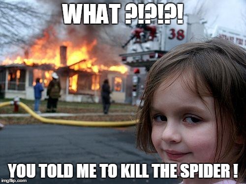 Disaster Girl | WHAT ?!?!?! YOU TOLD ME TO KILL THE SPIDER ! | image tagged in memes,disaster girl | made w/ Imgflip meme maker
