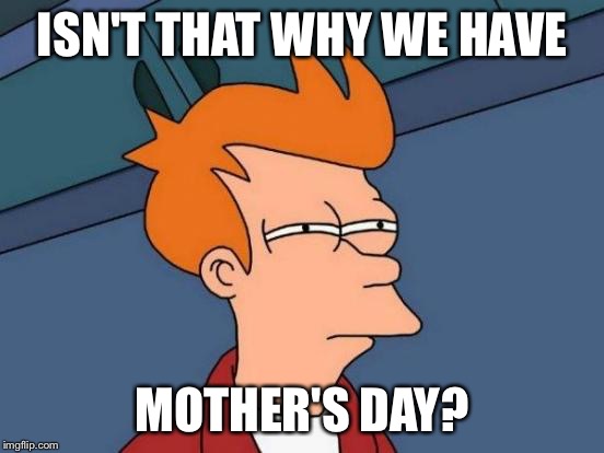 Futurama Fry Meme | ISN'T THAT WHY WE HAVE MOTHER'S DAY? | image tagged in memes,futurama fry | made w/ Imgflip meme maker