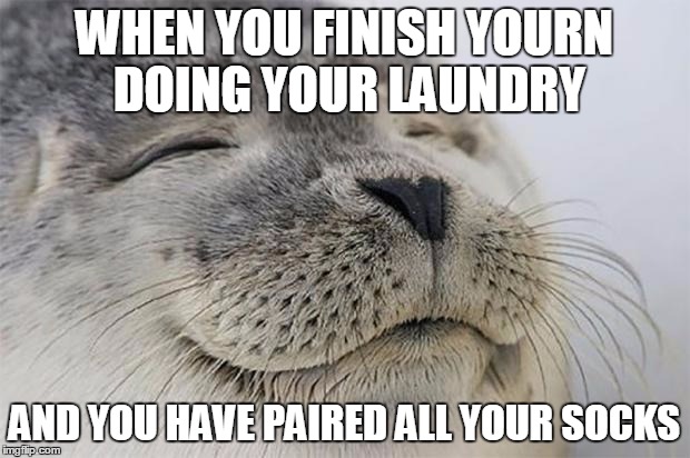Satisfied Seal | WHEN YOU FINISH YOURN DOING YOUR LAUNDRY AND YOU HAVE PAIRED ALL YOUR SOCKS | image tagged in memes,satisfied seal | made w/ Imgflip meme maker