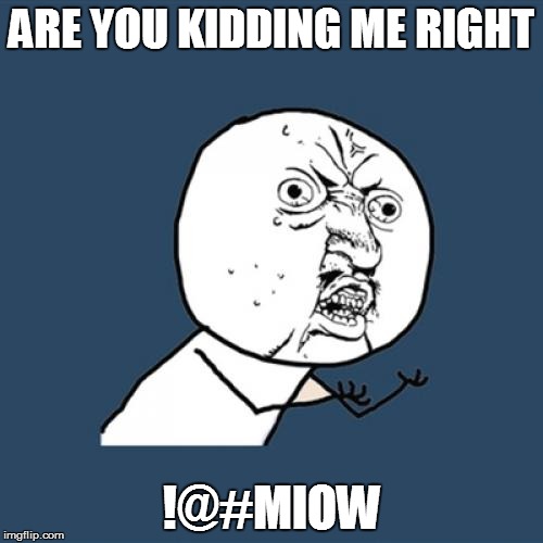 Y U No Meme | ARE YOU KIDDING ME RIGHT !@#MIOW | image tagged in memes,y u no | made w/ Imgflip meme maker