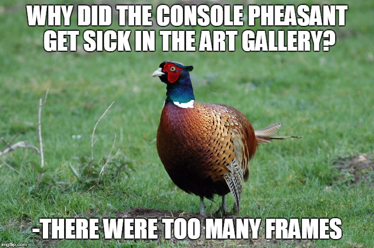 WHY DID THE CONSOLE PHEASANT GET SICK IN THE ART GALLERY? -THERE WERE TOO MANY FRAMES | made w/ Imgflip meme maker