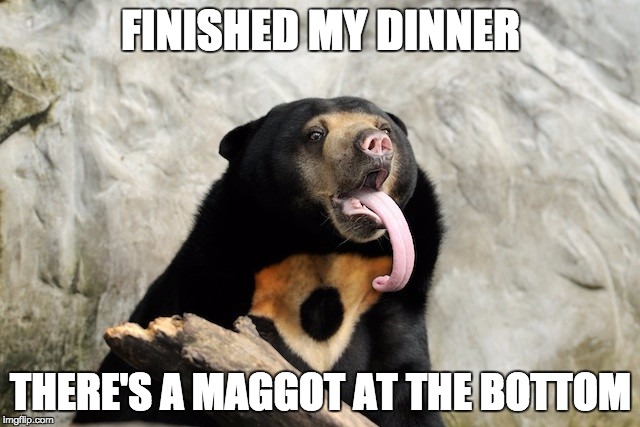 FINISHED MY DINNER THERE'S A MAGGOT AT THE BOTTOM | image tagged in yukky bear,AdviceAnimals | made w/ Imgflip meme maker