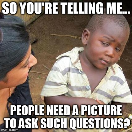 Third World Skeptical Kid | SO YOU'RE TELLING ME... PEOPLE NEED A PICTURE TO ASK SUCH QUESTIONS? | image tagged in memes,third world skeptical kid | made w/ Imgflip meme maker