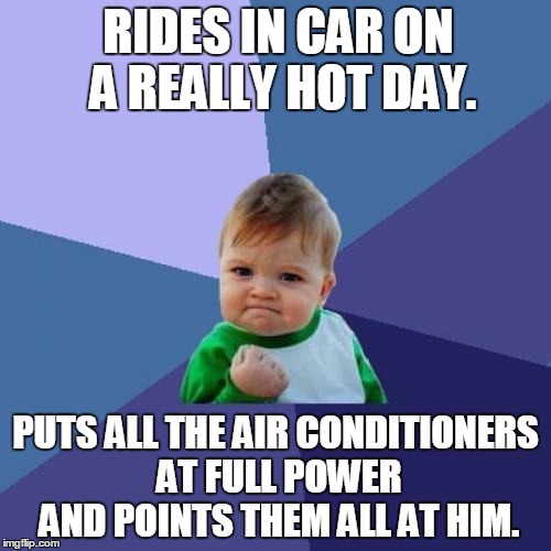 Success Kid Meme | RIDES IN CAR ON A REALLY HOT DAY. PUTS ALL THE AIR CONDITIONERS AT FULL POWER AND POINTS THEM ALL AT HIM. | image tagged in memes,success kid | made w/ Imgflip meme maker