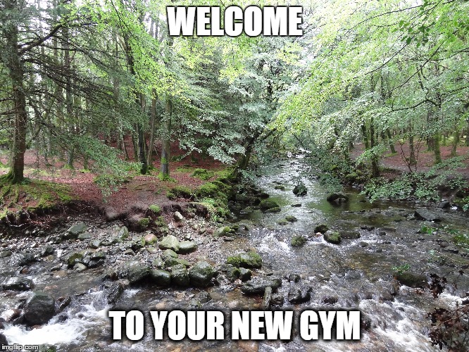 woodland gym | WELCOME TO YOUR NEW GYM | image tagged in natural is good | made w/ Imgflip meme maker