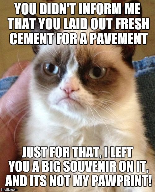 Grumpy Cat | YOU DIDN'T INFORM ME THAT YOU LAID OUT FRESH CEMENT FOR A PAVEMENT JUST FOR THAT, I LEFT YOU A BIG SOUVENIR ON IT, AND ITS NOT MY PAWPRINT! | image tagged in memes,grumpy cat | made w/ Imgflip meme maker