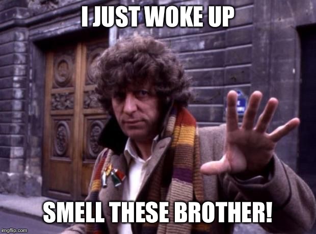 dr who no questions | I JUST WOKE UP SMELL THESE BROTHER! | image tagged in dr who no questions | made w/ Imgflip meme maker