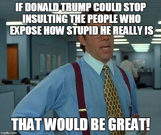 That Would Be Great | IF DONALD TRUMP COULD STOP INSULTING THE PEOPLE WHO EXPOSE HOW STUPID HE REALLY IS THAT WOULD BE GREAT! | image tagged in memes,that would be great | made w/ Imgflip meme maker