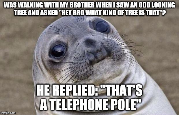 Awkward Moment Sealion | WAS WALKING WITH MY BROTHER WHEN I SAW AN ODD LOOKING TREE AND ASKED ''HEY BRO WHAT KIND OF TREE IS THAT''? HE REPLIED: ''THAT'S A TELEPHONE | image tagged in memes,awkward moment sealion | made w/ Imgflip meme maker