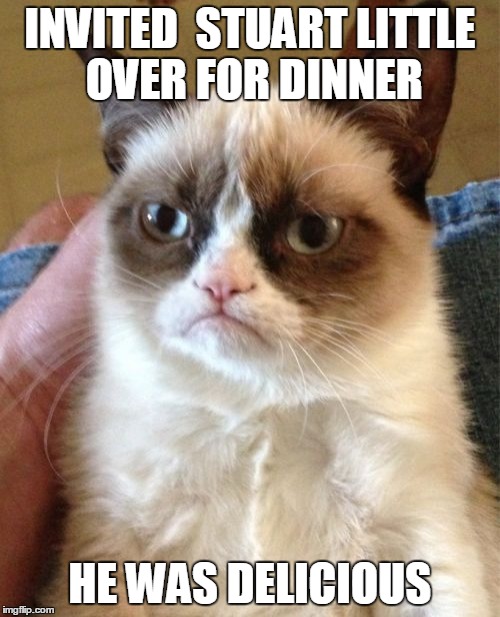 Grumpy Cat | INVITED  STUART LITTLE OVER FOR DINNER HE WAS DELICIOUS | image tagged in memes,grumpy cat | made w/ Imgflip meme maker