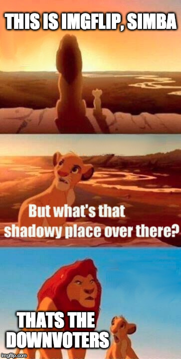 Simba Shadowy Place | THIS IS IMGFLIP, SIMBA THATS THE DOWNVOTERS | image tagged in memes,simba shadowy place | made w/ Imgflip meme maker