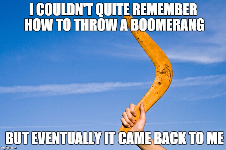 I COULDN'T QUITE REMEMBER HOW TO THROW A BOOMERANG BUT EVENTUALLY IT CAME BACK TO ME | image tagged in puns | made w/ Imgflip meme maker