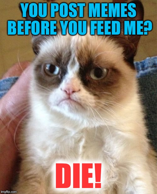 Grumpy Cat Meme | YOU POST MEMES BEFORE YOU FEED ME? DIE! | image tagged in memes,grumpy cat | made w/ Imgflip meme maker