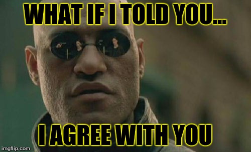 Matrix Morpheus Meme | WHAT IF I TOLD YOU... I AGREE WITH YOU | image tagged in memes,matrix morpheus | made w/ Imgflip meme maker