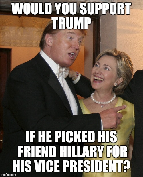 Because they agree on a lot!  | WOULD YOU SUPPORT TRUMP IF HE PICKED HIS FRIEND HILLARY FOR HIS VICE PRESIDENT? | image tagged in donald trump,hillary clinton | made w/ Imgflip meme maker