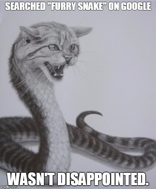 Cat Snake | SEARCHED "FURRY SNAKE" ON GOOGLE WASN'T DISAPPOINTED. | image tagged in cat,snake | made w/ Imgflip meme maker