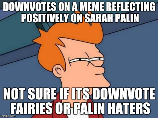 Futurama Fry | DOWNVOTES ON A MEME REFLECTING POSITIVELY ON SARAH PALIN NOT SURE IF ITS DOWNVOTE FAIRIES OR PALIN HATERS | image tagged in memes,futurama fry | made w/ Imgflip meme maker