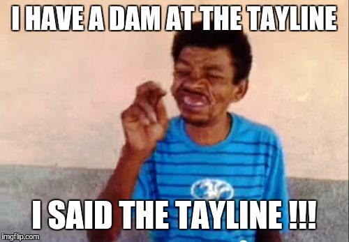 Bebo | I HAVE A DAM AT THE TAYLINE I SAID THE TAYLINE !!! | image tagged in memes,bebo | made w/ Imgflip meme maker