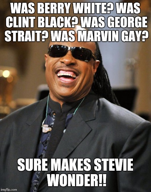 Stevie Wonder | WAS BERRY WHITE? WAS CLINT BLACK? WAS GEORGE STRAIT? WAS MARVIN GAY? SURE MAKES STEVIE WONDER!! | image tagged in stevie wonder | made w/ Imgflip meme maker