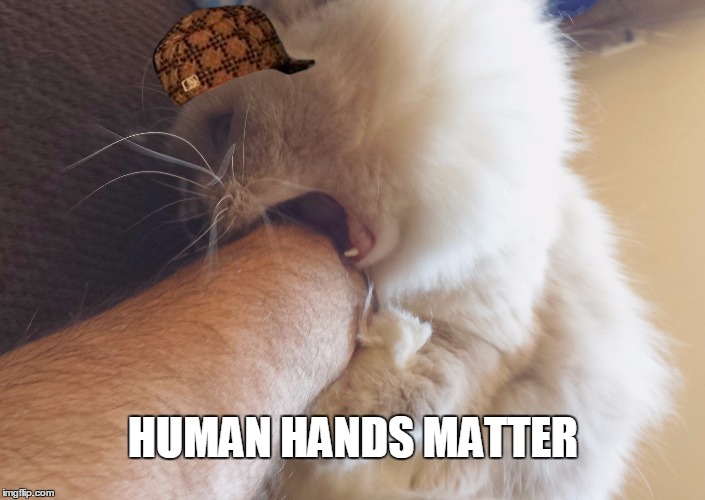 Human Hands Matter | HUMAN HANDS MATTER | image tagged in black lives matter | made w/ Imgflip meme maker