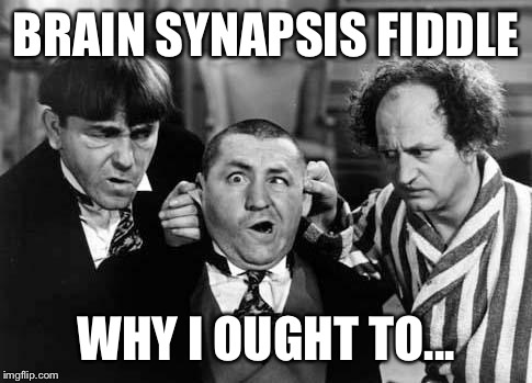 Three Stooges | BRAIN SYNAPSIS FIDDLE WHY I OUGHT TO... | image tagged in three stooges | made w/ Imgflip meme maker