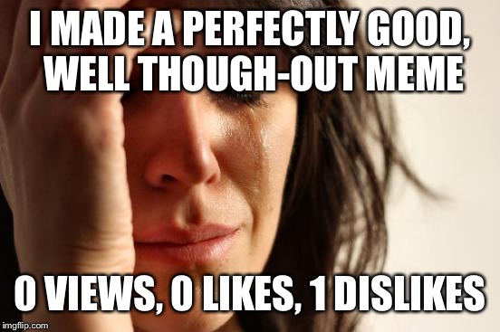 We all know that feel | I MADE A PERFECTLY GOOD, WELL THOUGH-OUT MEME 0 VIEWS, 0 LIKES, 1 DISLIKES | image tagged in memes,first world problems | made w/ Imgflip meme maker
