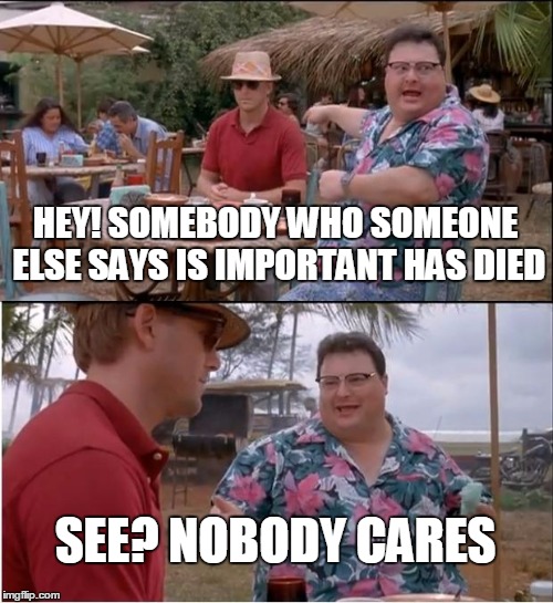 See Nobody Cares Meme | HEY! SOMEBODY WHO SOMEONE ELSE SAYS IS IMPORTANT HAS DIED SEE? NOBODY CARES | image tagged in memes,see nobody cares | made w/ Imgflip meme maker