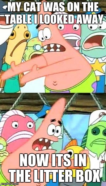 Put It Somewhere Else Patrick | MY CAT WAS ON THE TABLE I LOOKED AWAY NOW ITS IN THE LITTER BOX | image tagged in memes,put it somewhere else patrick | made w/ Imgflip meme maker