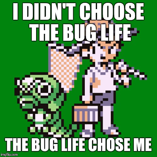 #BUGLIFE | I DIDN'T CHOOSE THE BUG LIFE THE BUG LIFE CHOSE ME | image tagged in bug catcher pokemon,memes | made w/ Imgflip meme maker