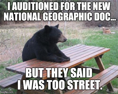 Bad Luck Bear Meme | I AUDITIONED FOR THE NEW NATIONAL GEOGRAPHIC DOC... BUT THEY SAID I WAS TOO STREET. | image tagged in memes,bad luck bear | made w/ Imgflip meme maker