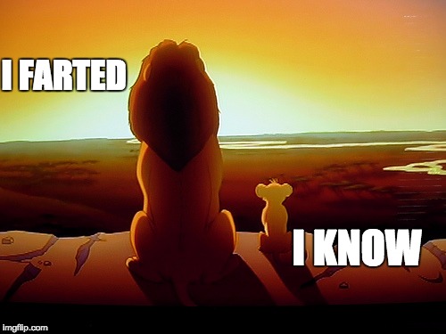 Lion King | I FARTED I KNOW | image tagged in memes,lion king | made w/ Imgflip meme maker