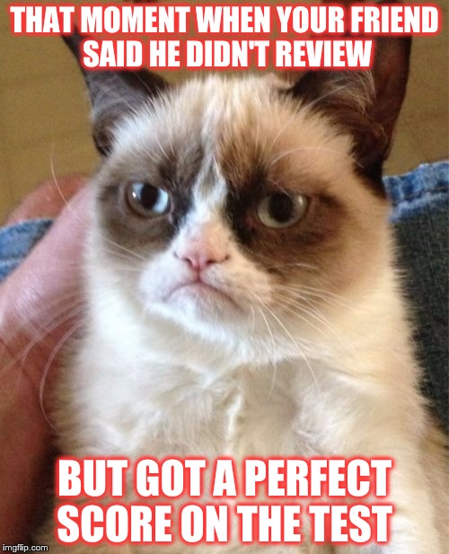 WHO WOULDN'T BE GRUMPY?! | THAT MOMENT WHEN YOUR FRIEND SAID HE DIDN'T REVIEW BUT GOT A PERFECT SCORE ON THE TEST | image tagged in memes,grumpy cat | made w/ Imgflip meme maker