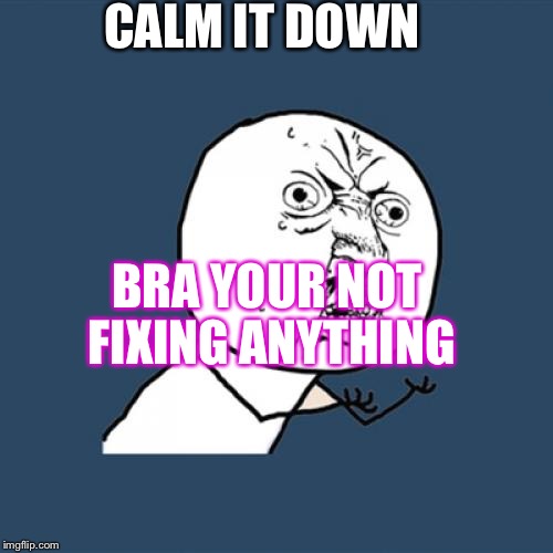 Y U No Meme | CALM IT DOWN BRA YOUR NOT FIXING
ANYTHING | image tagged in memes,y u no | made w/ Imgflip meme maker